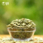 Pumpkin seed – 1 kg - Image 2