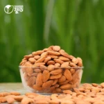 কাঠবাদাম (Almond) – 500G / 1KG - Image 3
